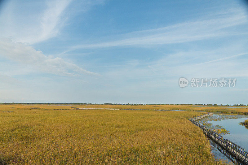 马什在Pont Pelee安大略